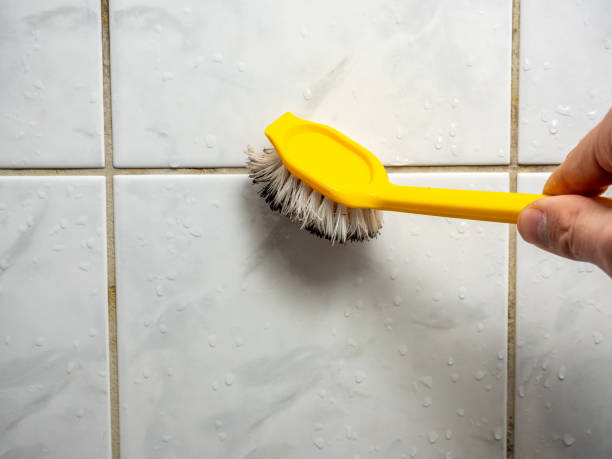 Best Toxic Mold Removal  in Little Elm, TX