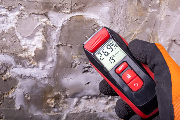 Crawl Space Mold Removal in Little Elm, TX